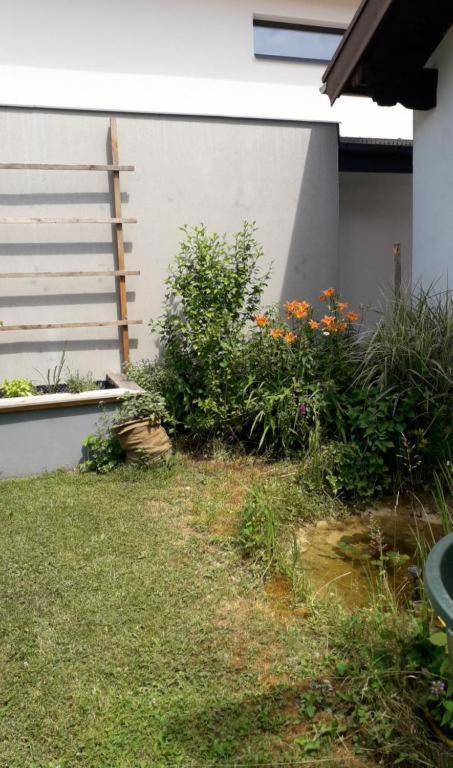 Ferienwohnung Karin Humer باد اسشي المظهر الخارجي الصورة