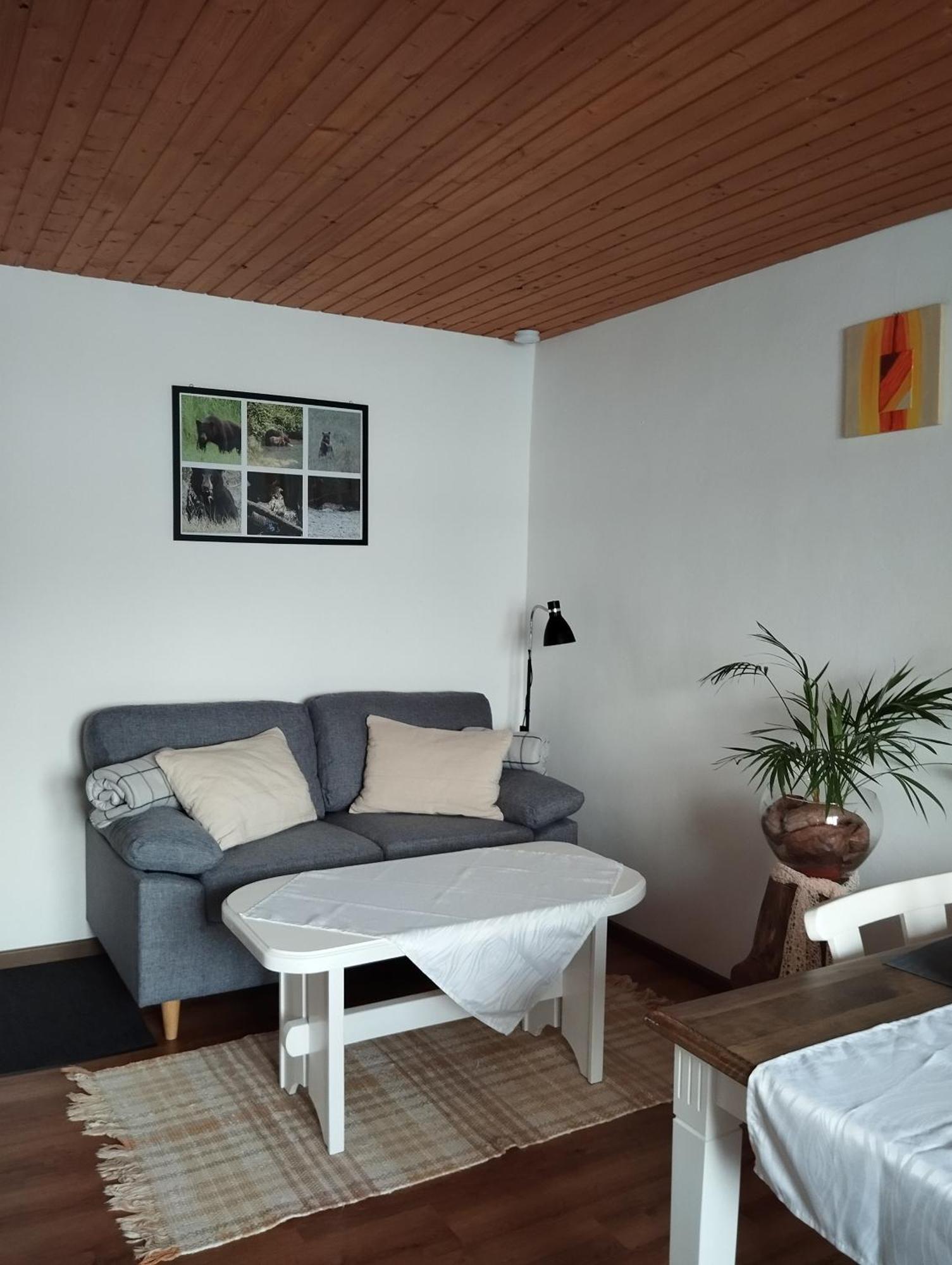 Ferienwohnung Karin Humer باد اسشي المظهر الخارجي الصورة