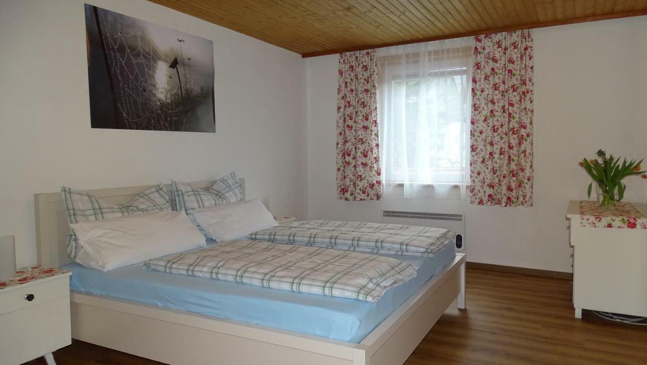 Ferienwohnung Karin Humer باد اسشي المظهر الخارجي الصورة